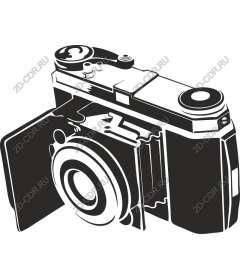Vintage camera