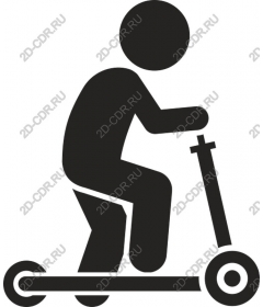 The driver of the scooter