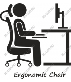  Ergonomic chair