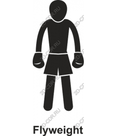 The Flyweight