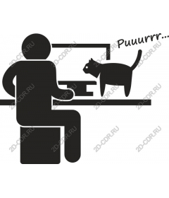 Playful cat and man