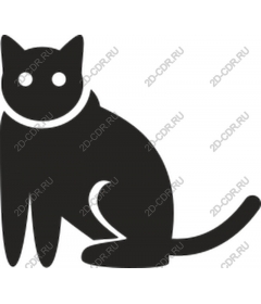  Black Cat