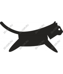  Adorable walking cat