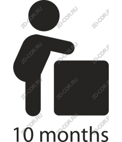 Значок достижения 10 месяцев