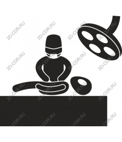  Culinary chef