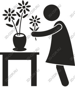  Flower care