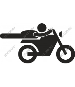 Dynamic Rider