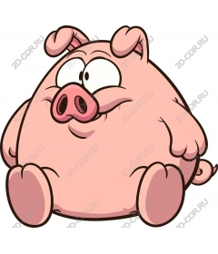 Funny cartoon pig