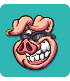  Cool pig