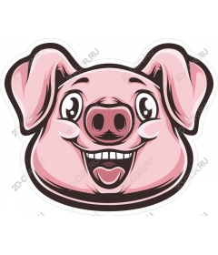  Cartoon pig