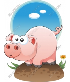 Playful Pig