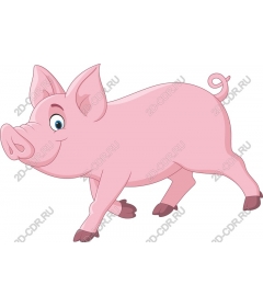  Cartoon pig