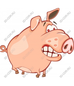  Cheeky cartoon pig