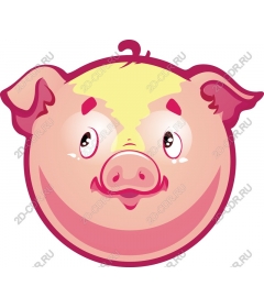  Adorable cartoon pig face