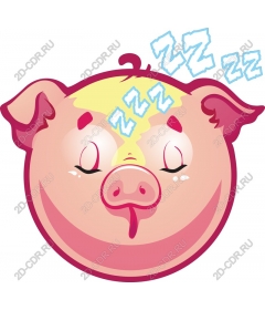  Sleepy Pig
