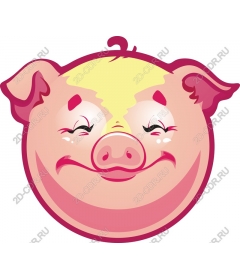  Adorable cartoon pig face