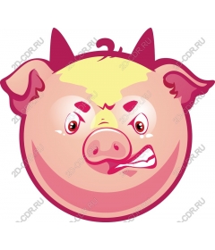  Angry Pig