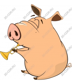 Playful pig tube