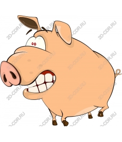  Cartoon pig