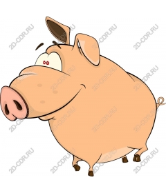  Cartoon pig