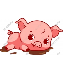  Adorable pig