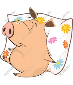  Adorable sleeping pig