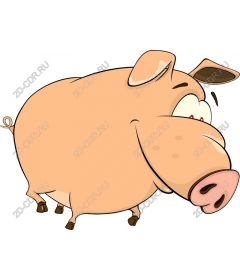  Bizarre cartoon pig