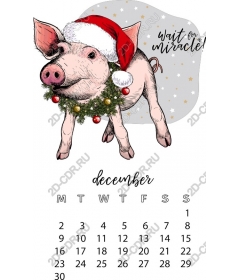  Festive Santa pig