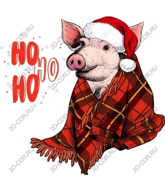  Festive pig