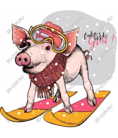  Whimsical pig-skier