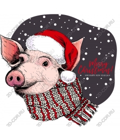  Festive Christmas Pig