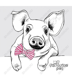  Adorable pig with butterfly - my favorite pet