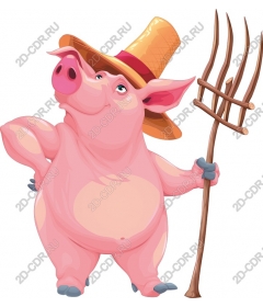  Adorable pig