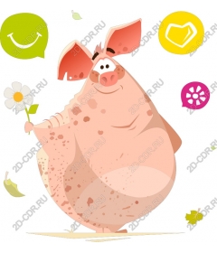Funny Pig