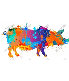  Colorful pig