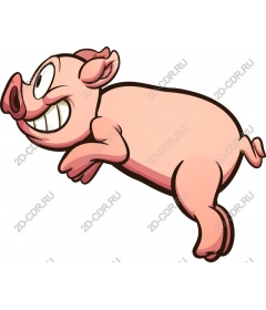 Playful Pig