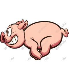 Funny cartoon pig