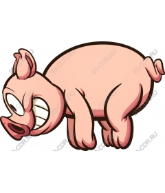  Bizarre cartoon pig