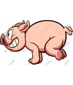  Bizarre cartoon pig