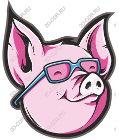  Chic pig