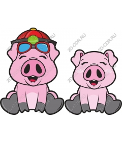 The hilarious Duo pigs