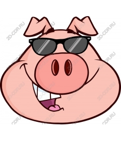  Cool cartoon pig with sunglasses