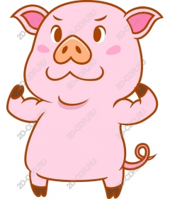 Playful Pig
