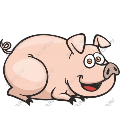  Cute cartoon pig