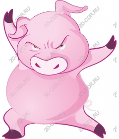  Sassy pig