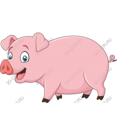 Funny cartoon pig