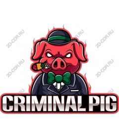  Criminal Pig