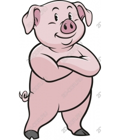  Adorable cartoon pig