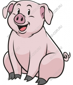  Winking Pig
