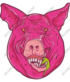 Playful pink pig with a snake